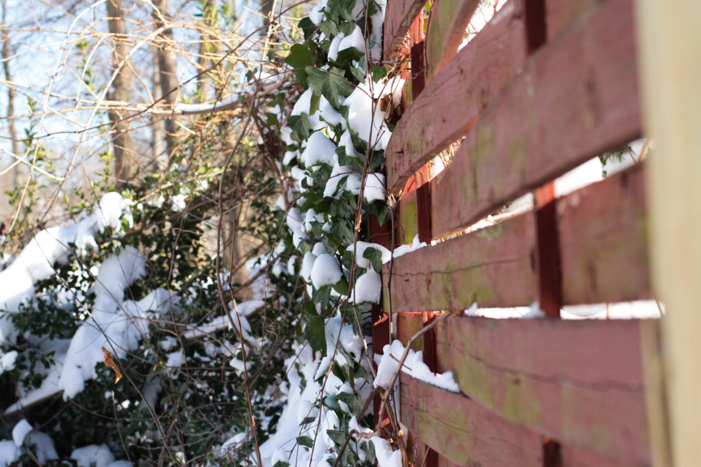 red fence in snow