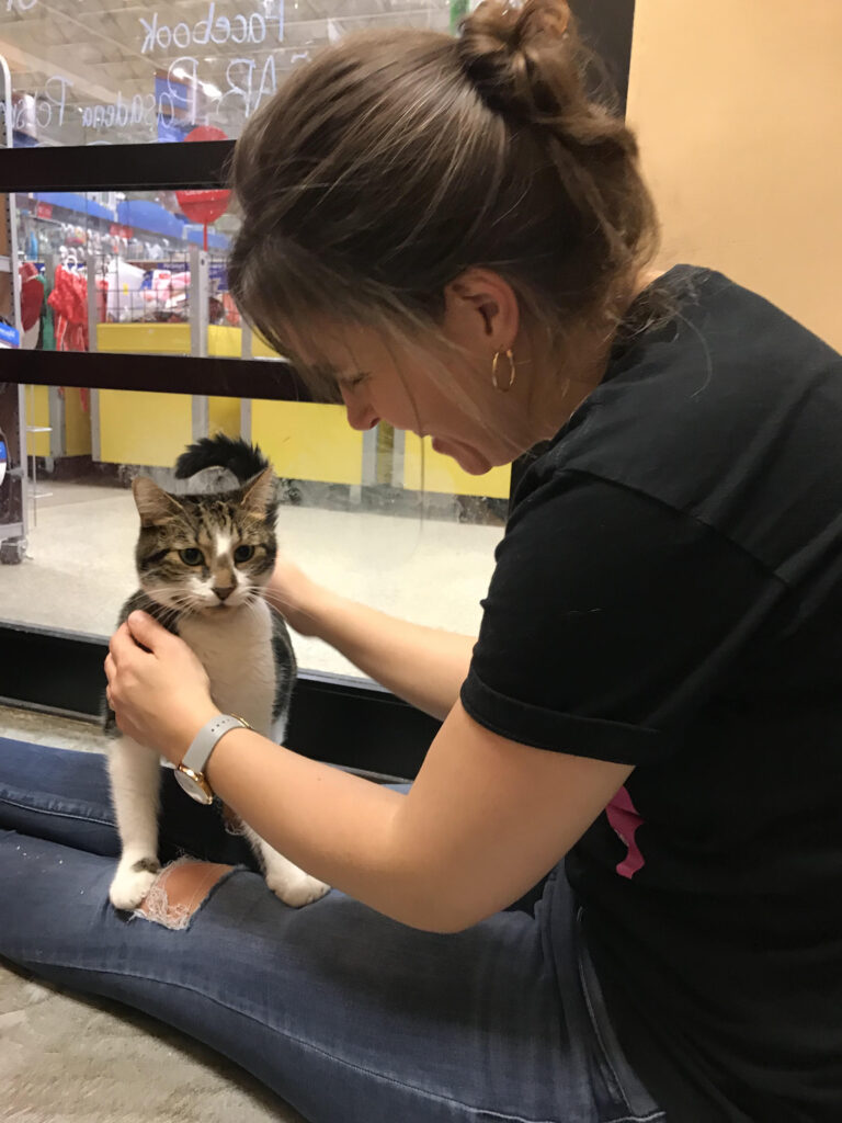 Kristen with a shelter cat