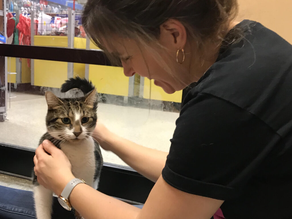 Kristen with a shelter cat