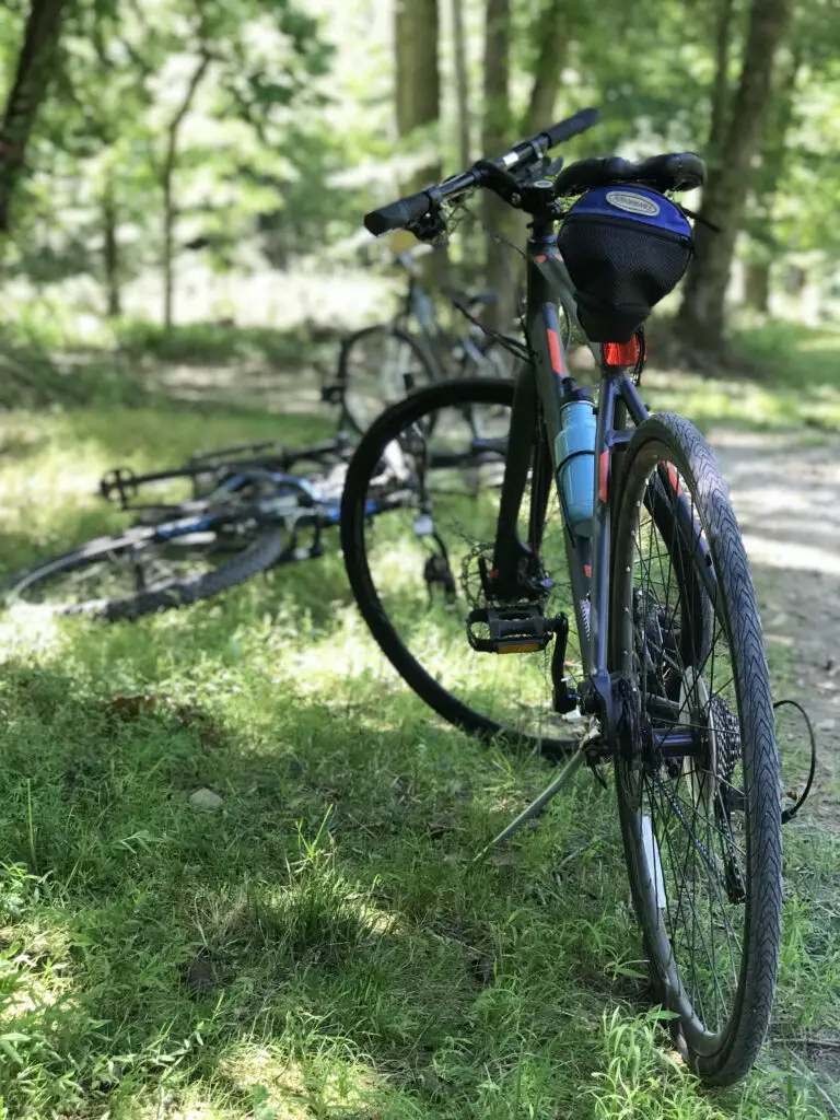 bikes in grass