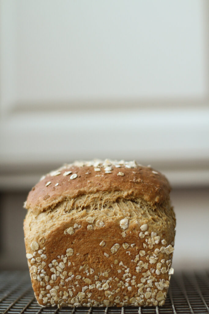 molasses oatmeal bread.