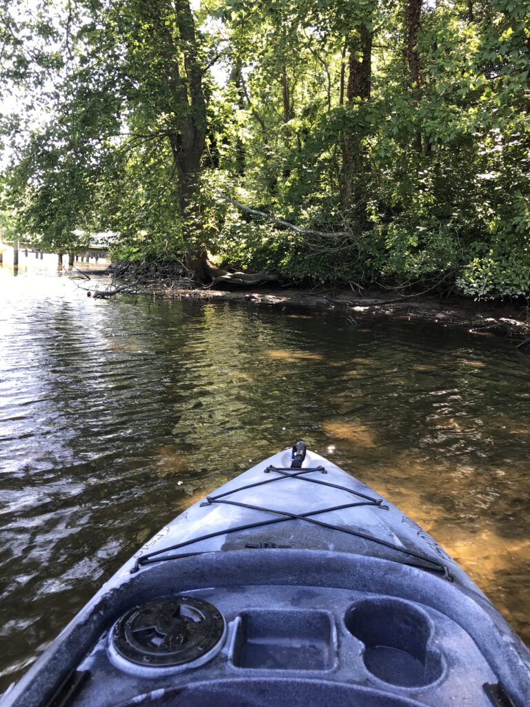 kayak on a shady river