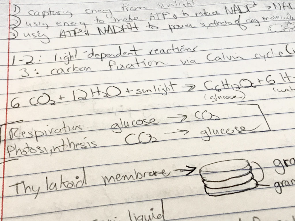 Biology photosynthesis notes.