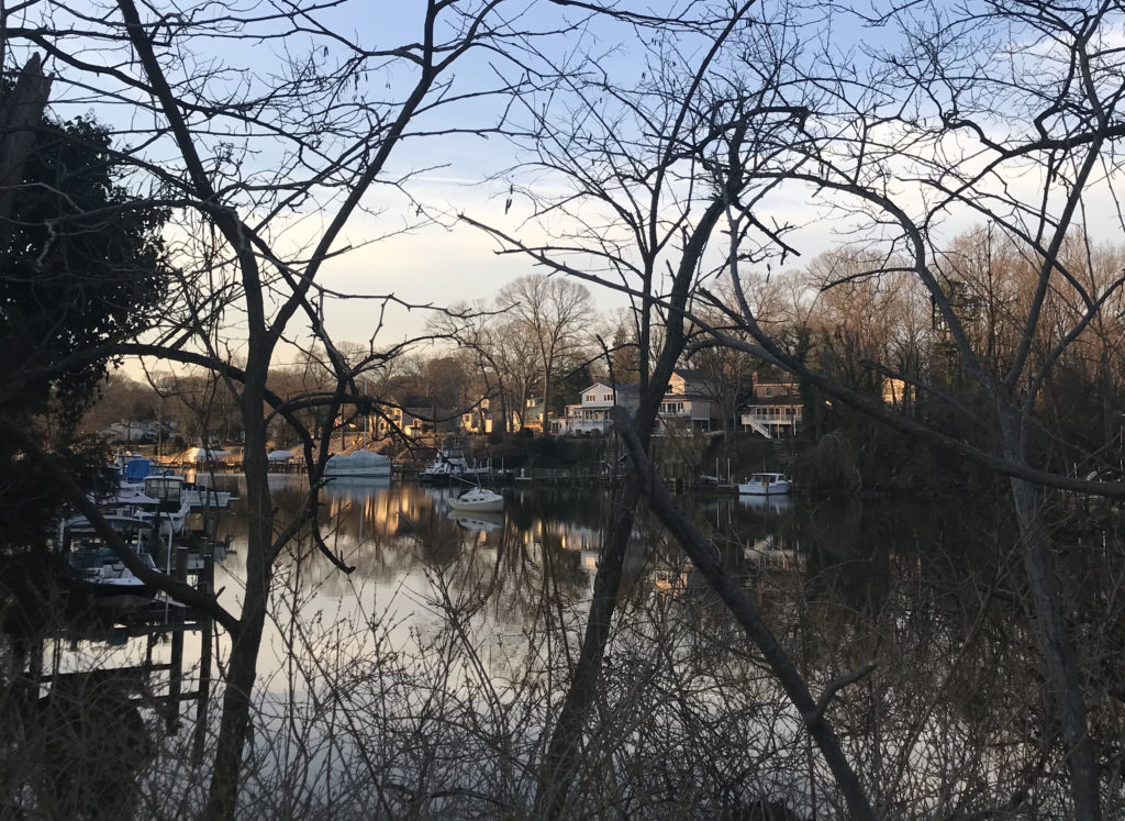 A view of the river through bare trees.