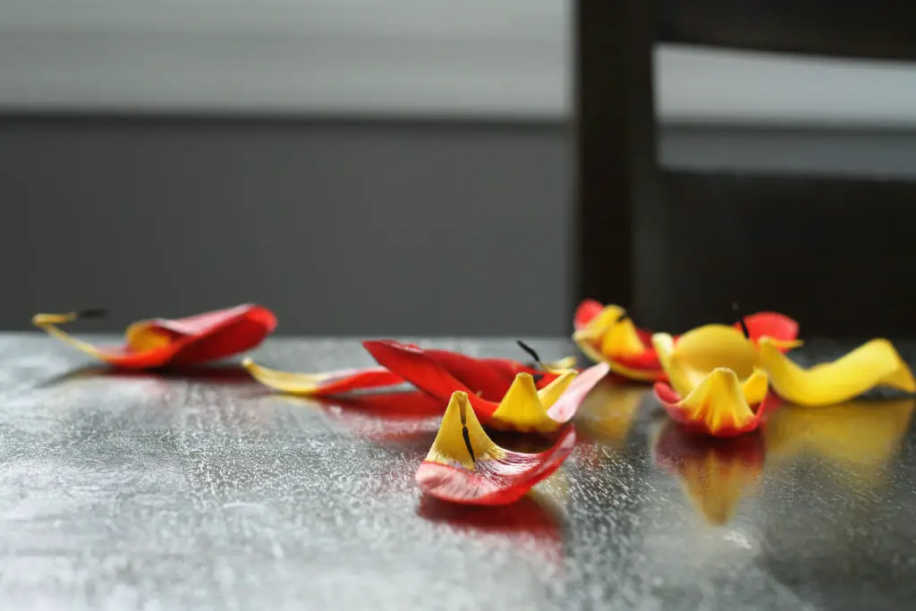Tulip petals scattered on a table.