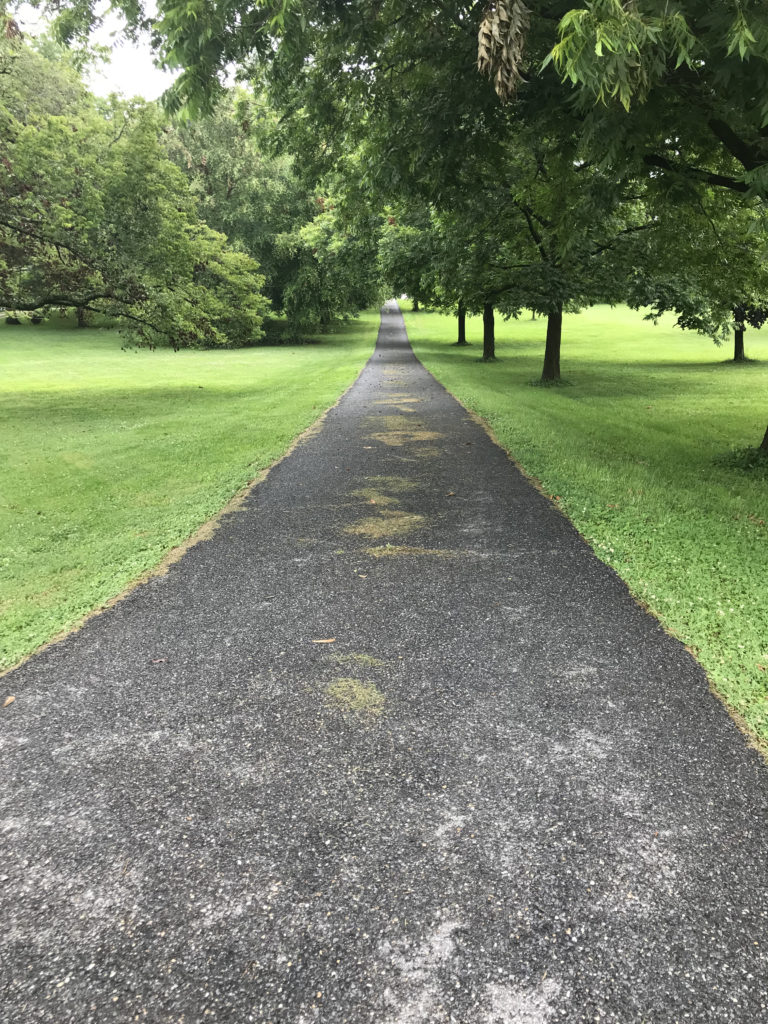 A long driveway surrounded by grass.