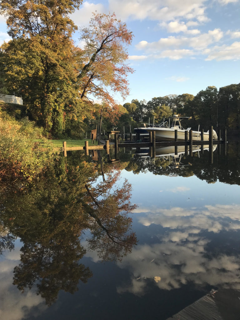 River on a fall morning.